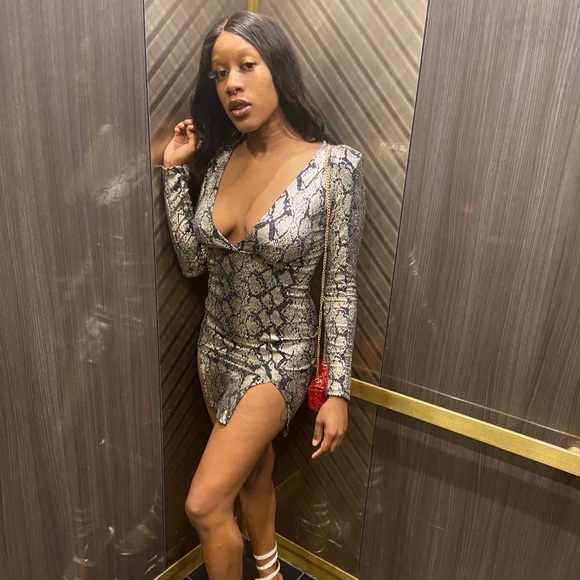 Animal print dress - Picture 1 of 2